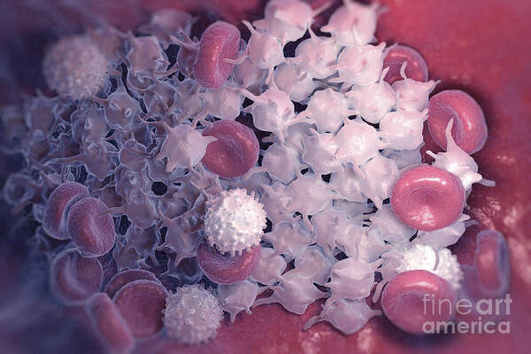 3d Visualisation Art Print featuring the photograph Blood Cells #8 by Science Picture Co