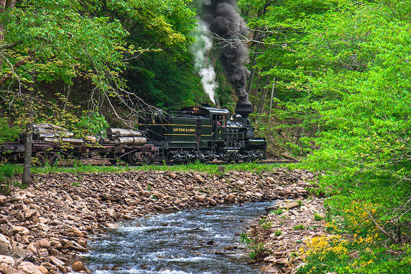 Shay Engine Art Print featuring the photograph Cass Scenic Railroad #9 by Mary Almond