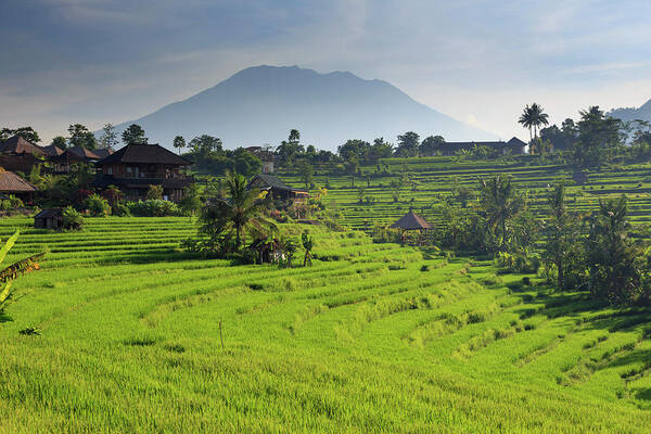 Scenics Art Print featuring the photograph Indonesia, Bali, Rice Fields And #8 by Michele Falzone