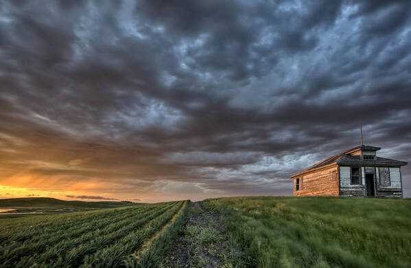 Prairie Art Print featuring the photograph Newly planted crop #8 by Mark Duffy