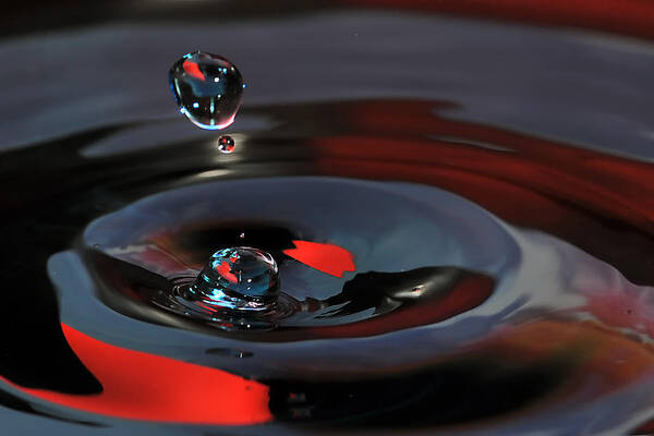 Water Drops Art Print featuring the photograph Untitled #8 by Gene Tatroe