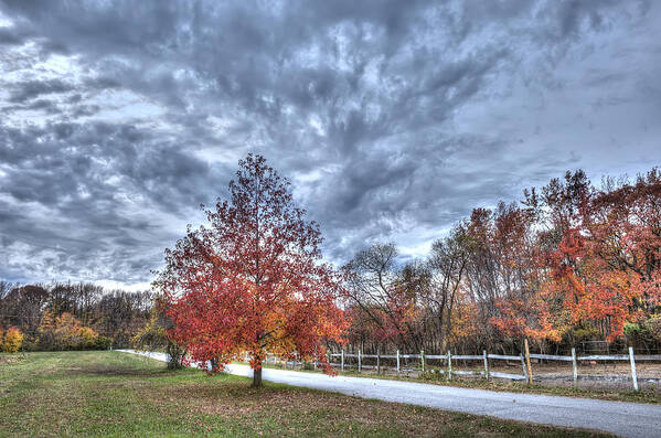 Autumn Trees Art Print featuring the photograph A backroad in the rural countryside of Maryland during Autumn by Patrick Wolf