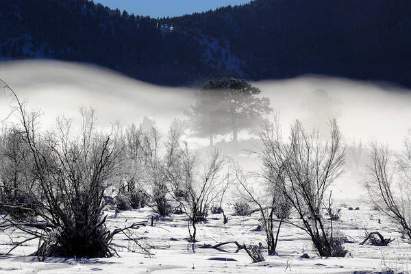 Fog Art Print featuring the photograph A Blanket Of Fog by Shane Bechler