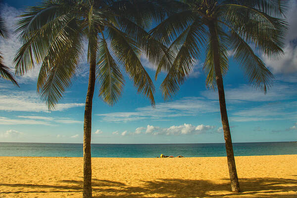 Lanai Beaches Art Print featuring the photograph A day at the beach by Kunal Mehra