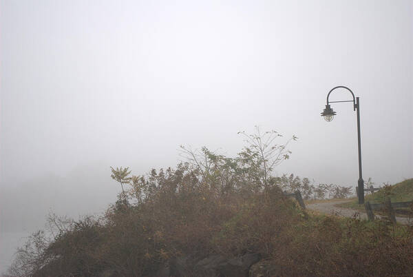 Fog Art Print featuring the photograph A Foggy Morning by Judy Salcedo