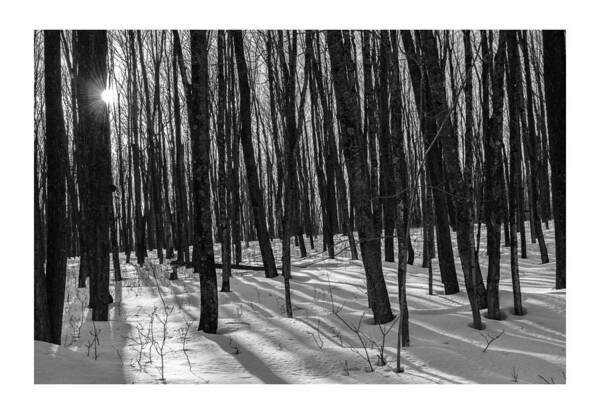 Monochrome Landscape Art Print featuring the photograph A Long Winter's Day by Dan Hefle