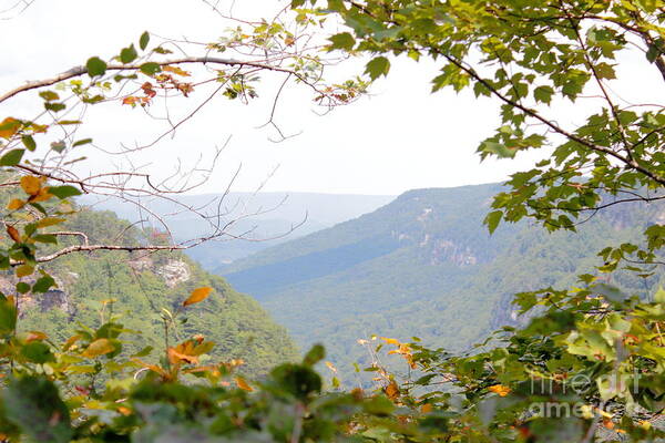 Cloudland Art Print featuring the photograph A Peek into Cloudland Canyon by Andre Turner