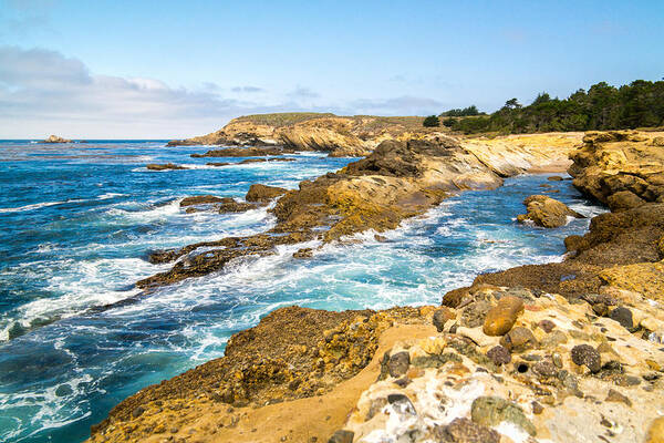 Big Sur Art Print featuring the photograph A Point Lobos Point by Wasim Muklashy