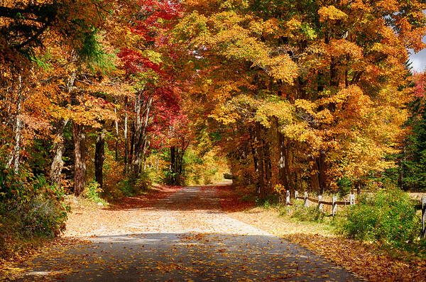 Vermont Fall Colors Art Print featuring the photograph A quiet back road stroll by Jeff Folger