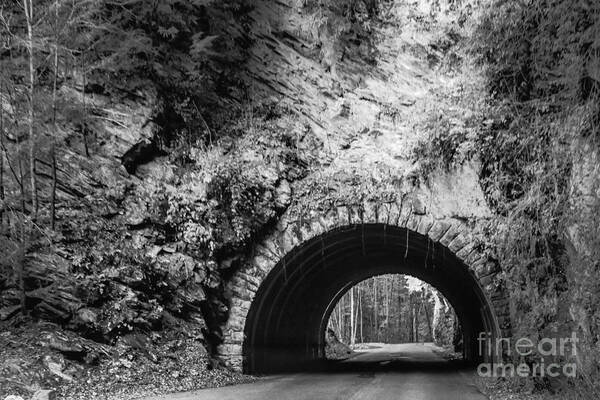 Tunnel Art Print featuring the photograph A Tunnel in the Park by Lynn Sprowl