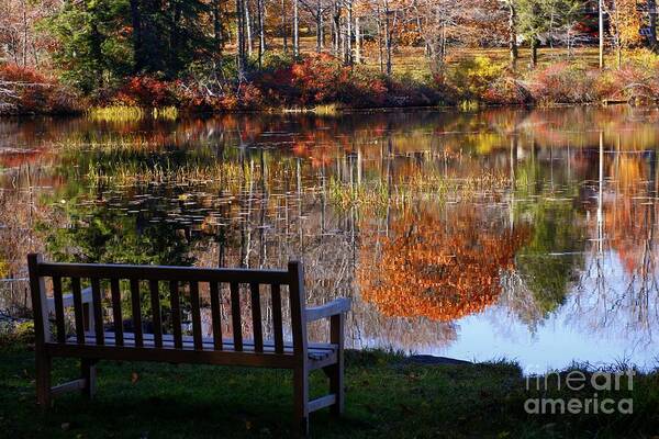 Landscape Art Print featuring the photograph A View of Wonder by Marcia Lee Jones