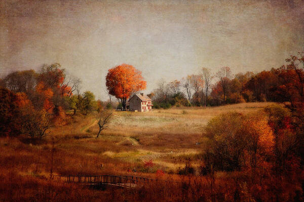 Landscape Art Print featuring the photograph A Walk in the Meadow with Texture by Trina Ansel