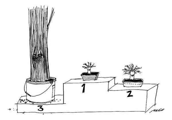 Captionless Art Print featuring the drawing A Winner's Podium That Features Three Plants by Edward Steed