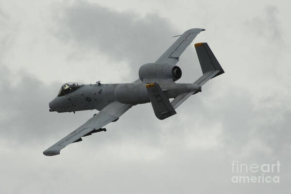 A10 Art Print featuring the photograph A10 Warthog by Airpower Art