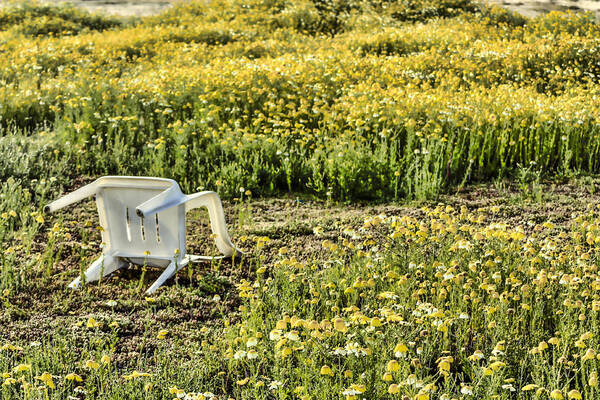Flower Fields Art Print featuring the digital art Abandoned Chair by Photographic Art by Russel Ray Photos
