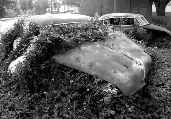 New Orleans Art Print featuring the photograph Abandoned Chevys by Daniel Schubarth