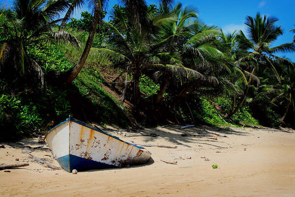 Puerto Rico Art Print featuring the photograph Abandoned by Kara Stewart