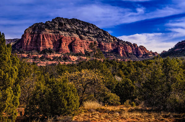 2014 Art Print featuring the photograph Above It All by Mark Myhaver