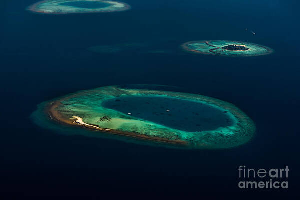 Atoll Art Print featuring the photograph Above Paradise - Turtle by Hannes Cmarits