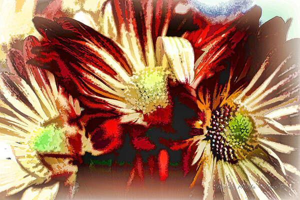 Chrysanthemum Art Print featuring the photograph Abstract Chrysanthemums by Charles Muhle