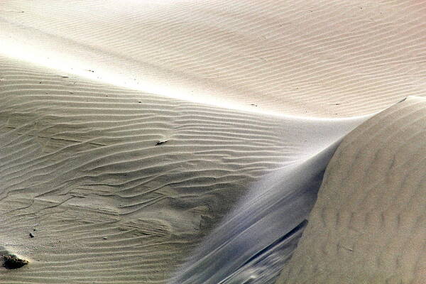 Sand Art Print featuring the photograph Abstract Landscape II by Maxine Kamin