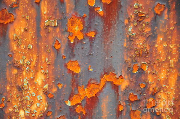 Rust Art Print featuring the photograph Abstract Rust by Randi Grace Nilsberg