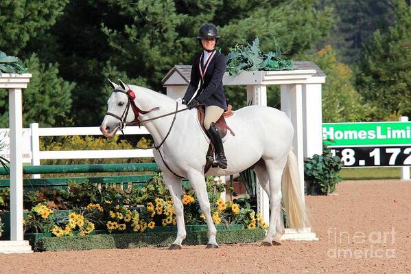 Horse Art Print featuring the photograph Ac-hunter12 by Janice Byer