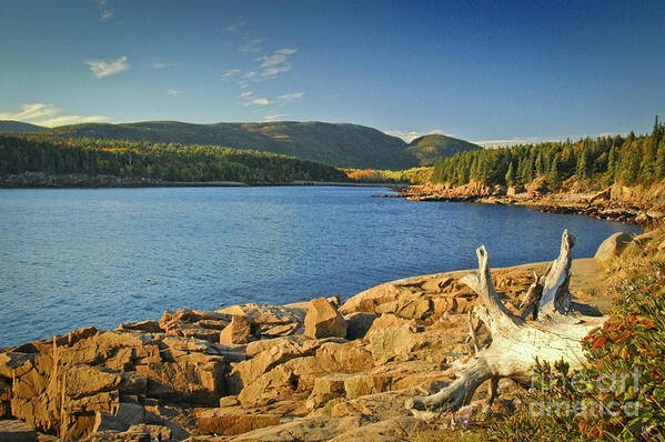 Acadia National Park Art Print featuring the photograph Acadia by Alana Ranney