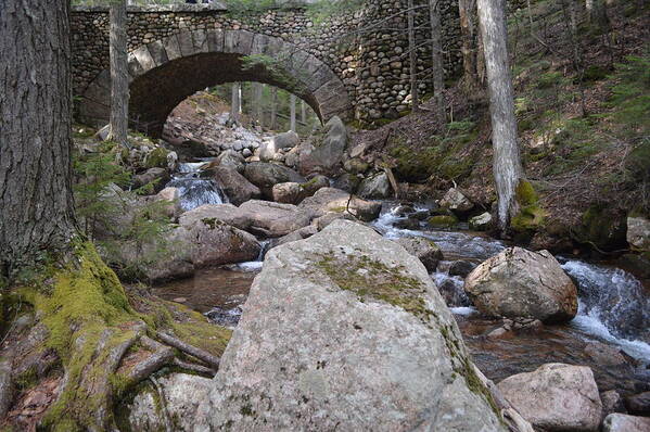 Acadia Art Print featuring the photograph Acadia Carriage Road 1917 Bridge by Lena Hatch