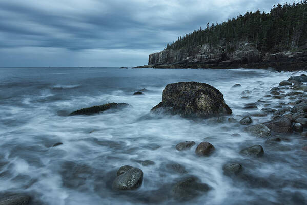 Acadia Art Print featuring the photograph Acadia's First Light by Chad Tracy