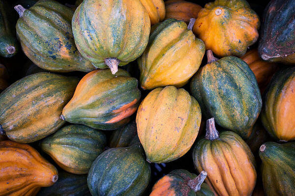 Food Art Print featuring the photograph Acorn Squash by Tanya Harrison