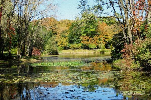 Leaves Art Print featuring the photograph Across the Pond by Kathie Chicoine