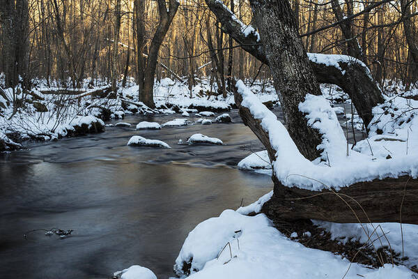Andrew Pacheco Art Print featuring the photograph Adamsville Brook by Andrew Pacheco