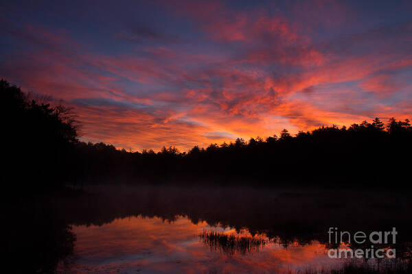 Sunrise Art Print featuring the photograph Adirondack Sunrise by Chris Scroggins
