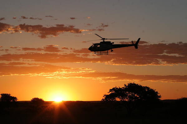 Eurocopter As350 B3 Art Print featuring the photograph African Sunset II by Paul Job