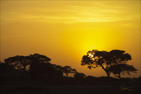 Kenya Art Print featuring the photograph African Sunset by PiperAnne Worcester