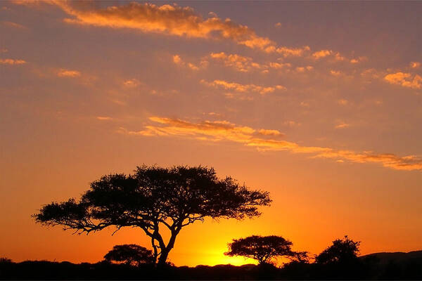 Africa Art Print featuring the photograph African Sunset by Sebastian Musial