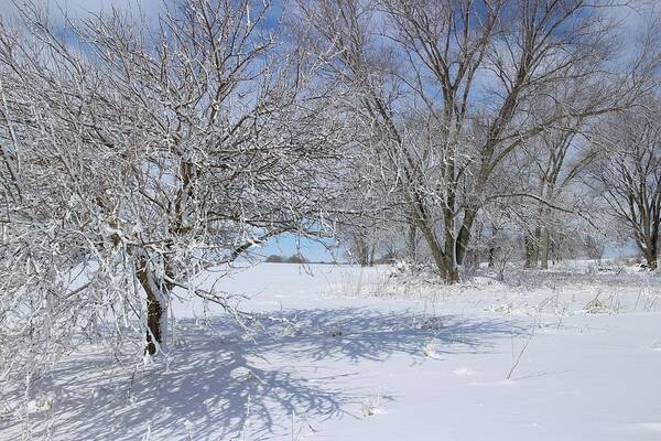 Winter Art Print featuring the photograph After the Late Winter Storm by Scott Kingery