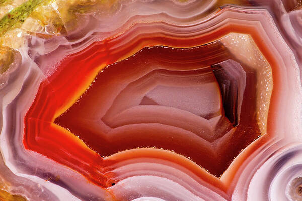 Mineral Art Print featuring the photograph Agua Nueva, Mexican Agate Close-up by Darrell Gulin