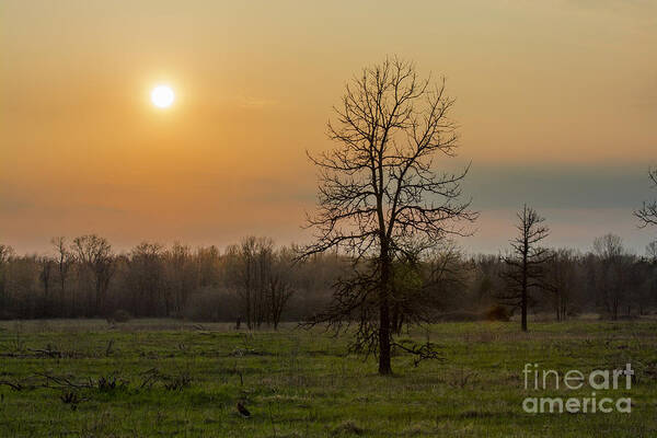 Landscape Art Print featuring the photograph Aided By Fire by Dan Hefle