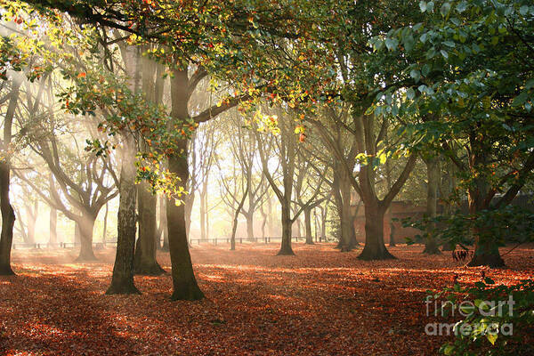 Air Art Print featuring the photograph Air Autumn by Boon Mee