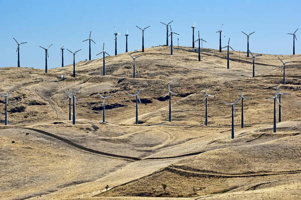 Agriculture Art Print featuring the photograph Altamont Pass - Wind on the Hills by Nikolyn McDonald