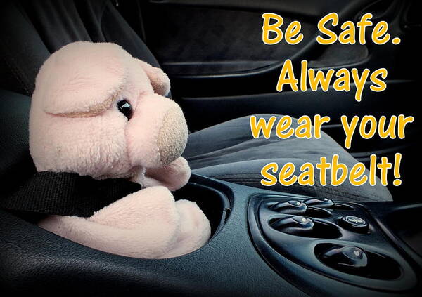 Seat Belt Art Print featuring the photograph Always Wear Your Seatbelt by Piggy      