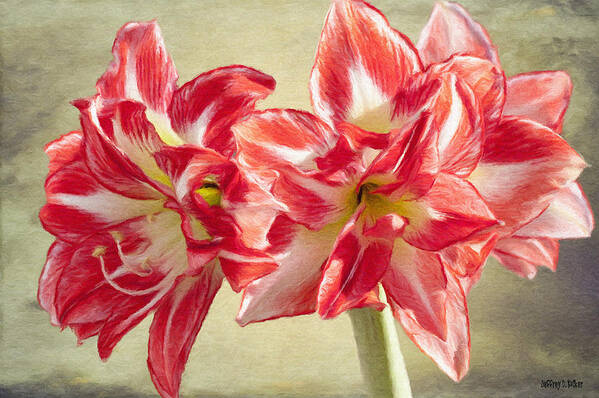 Amaryllis Art Print featuring the painting Amaryllis Red by Jeffrey Kolker