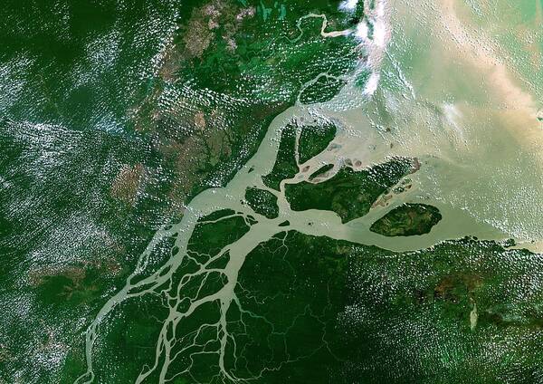 Amazon River Art Print featuring the photograph Amazon Delta by Planetobserver/science Photo Library