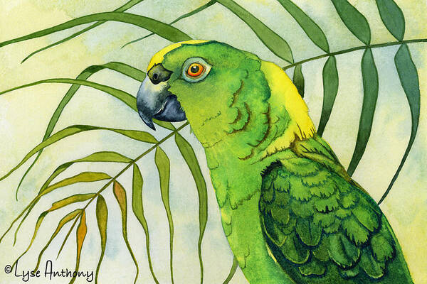 Watercolor Art Print featuring the painting Amazon by Lyse Anthony