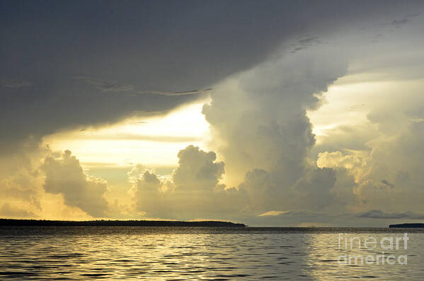 Landscape Art Print featuring the photograph Amazon River Landscape by Bob Christopher