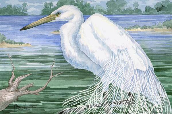 Coast Art Print featuring the painting American Egret by Paul Brent