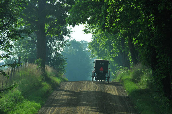 Amish Art Print featuring the photograph Amish Buggy Gravel Road by David Arment