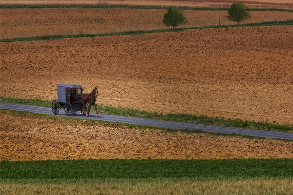 Amish Art Print featuring the photograph Amish Country Lancaster Pennsylvania by Susan Candelario
